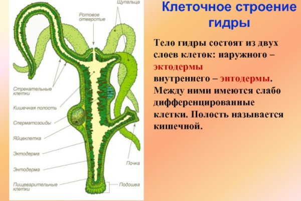 Как восстановить страницу на кракене