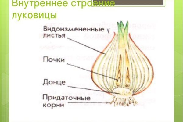 Кракен адрес тор